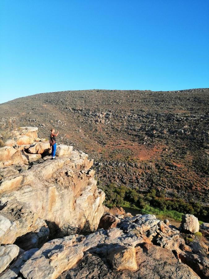 فيلا Oudrif Farm كلانويليام المظهر الخارجي الصورة